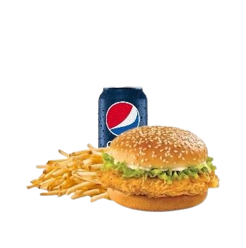 Chicken Burger Combo